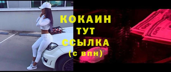 скорость Новозыбков