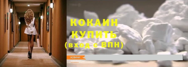 стафф Новодвинск
