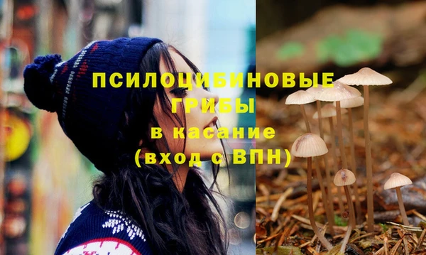 mdpv Нея