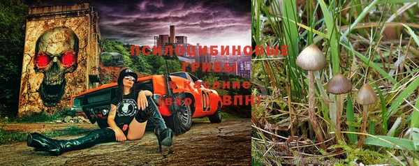 стафф Новодвинск