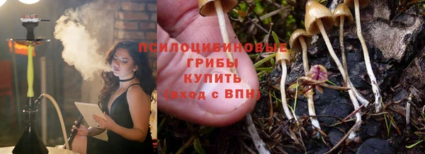 mdpv Нея