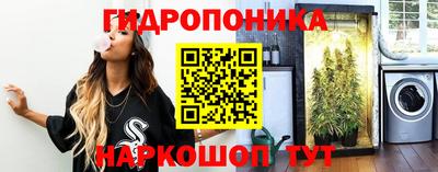 гидропоника Ипатово