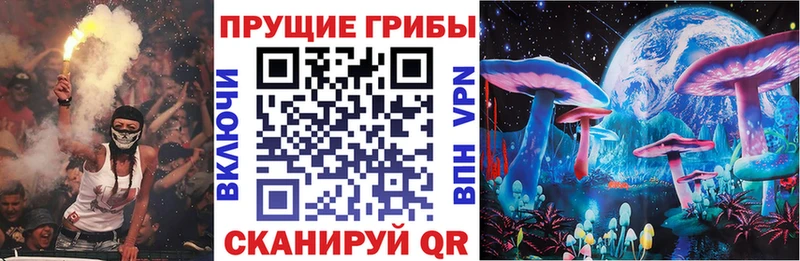 где купить   Ревда  Псилоцибиновые грибы Magic Shrooms 