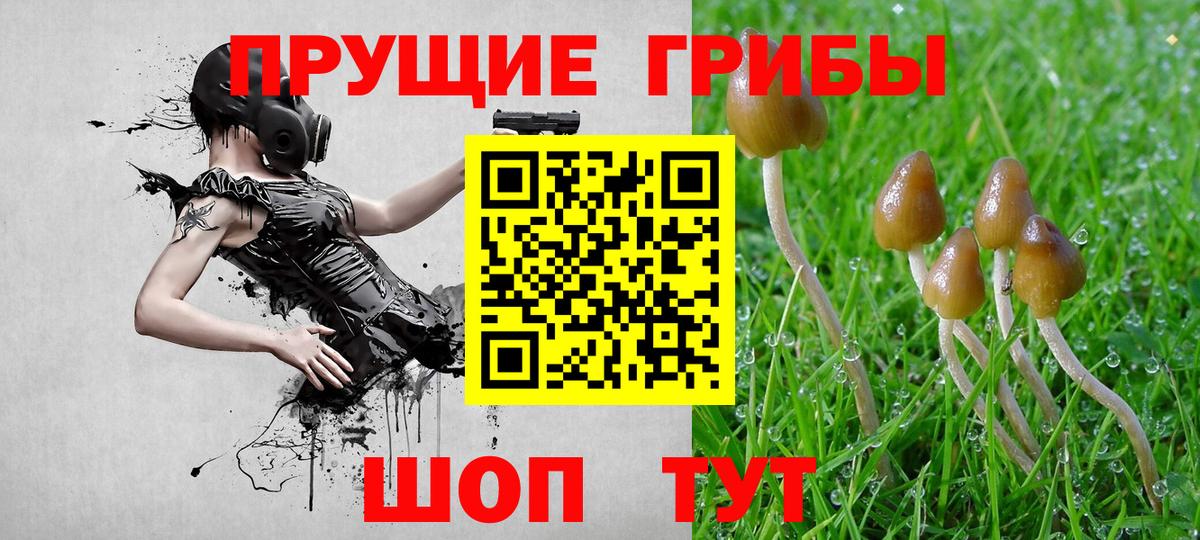Ревда  Галлюциногенные грибы Cubensis  Вход с VPN  Галлюциногенные грибы Psilocybine cubensis 